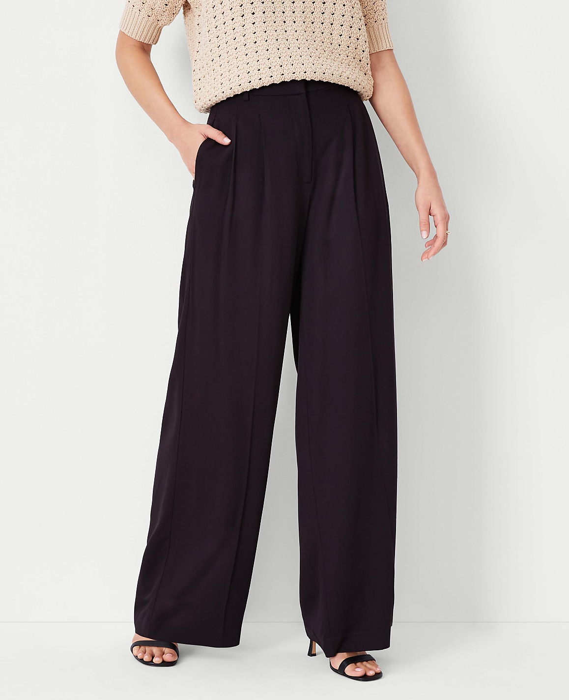 The Pleated Wide-Leg Pant