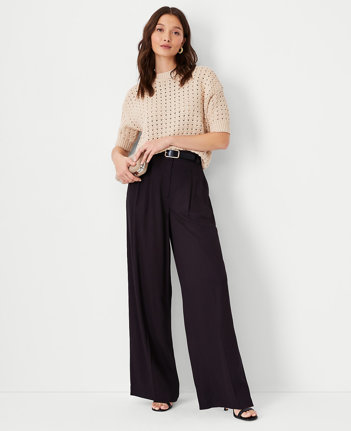The Pleated Wide-Leg Pant