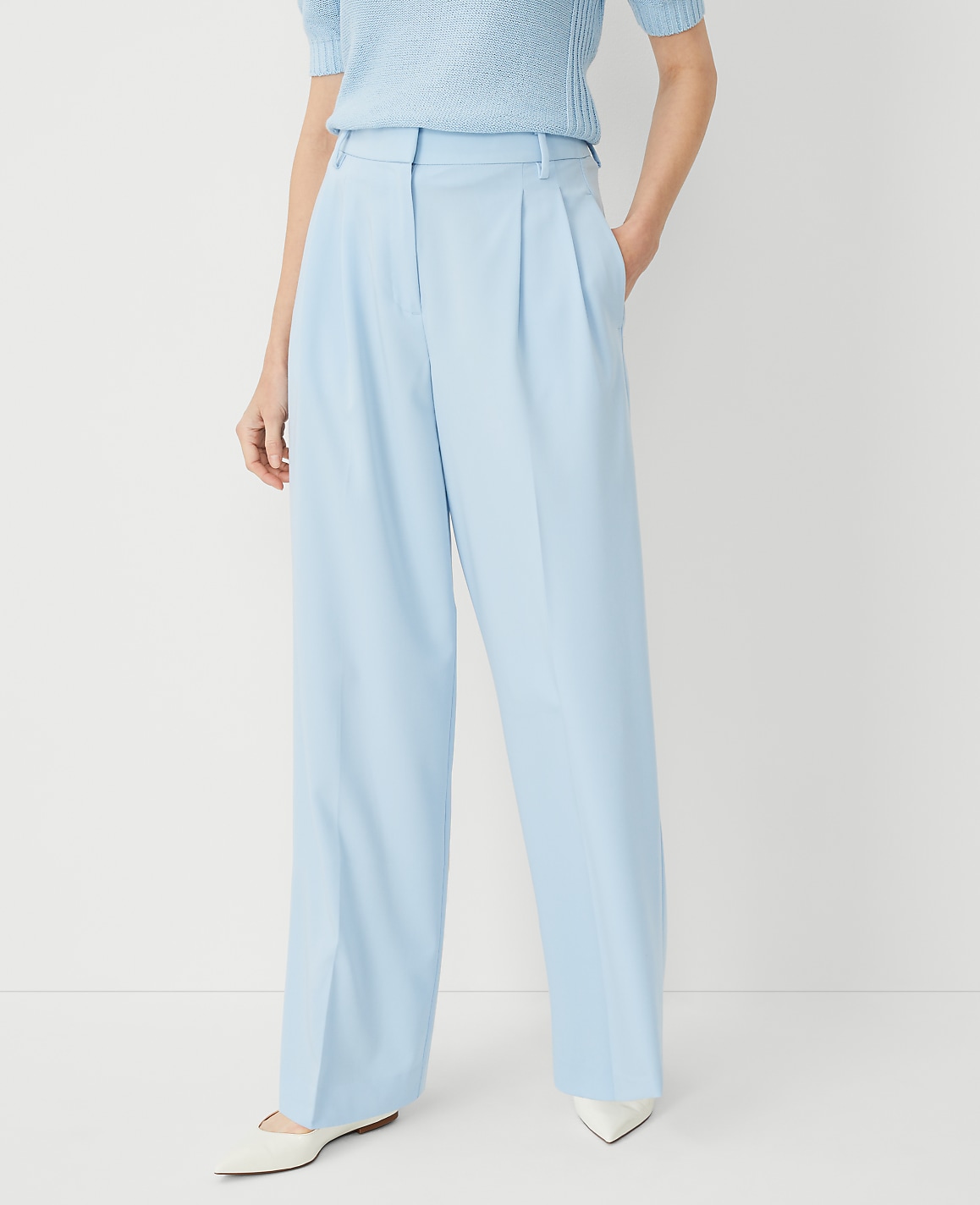 The Petite Pleated Wide-Leg Pant
