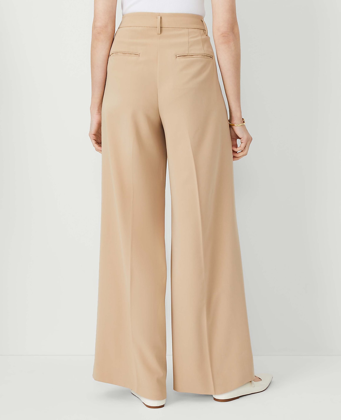 The Pleated Wide-Leg Pant