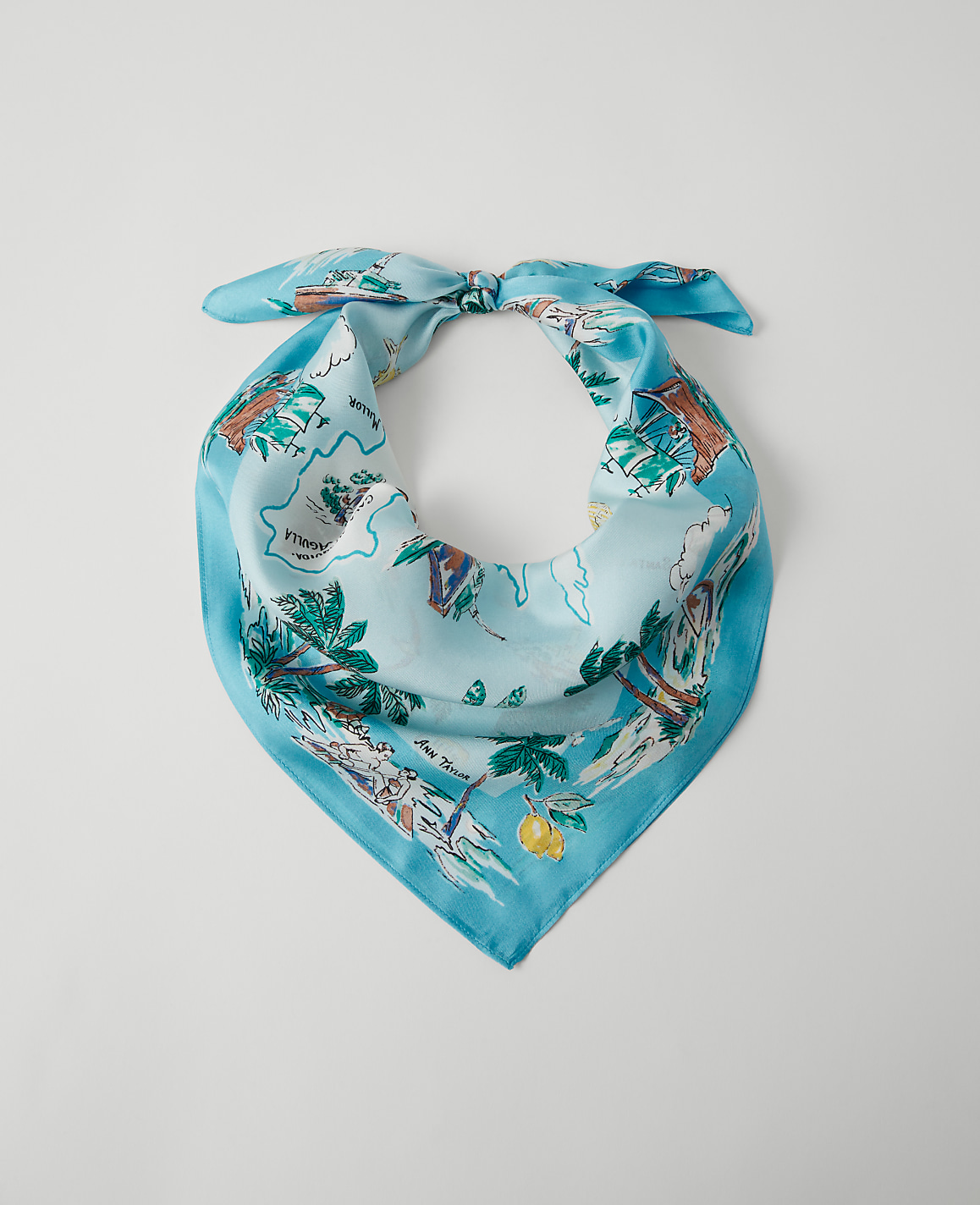 Map Silk Little Scarf