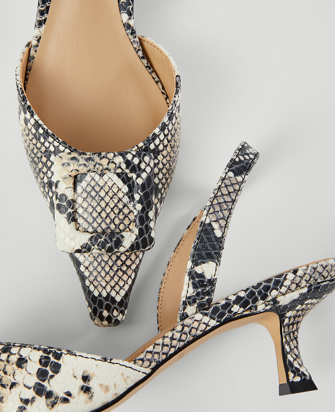 Snake Print Pointy Toe Buckle Slingback Pumps