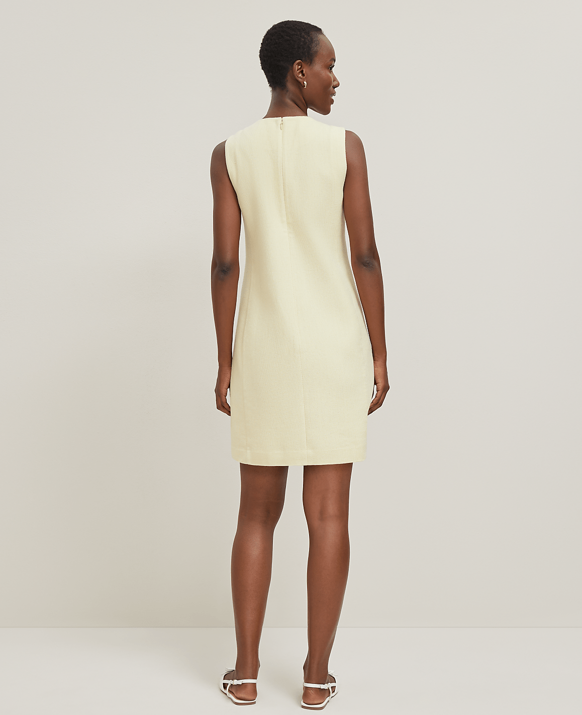 Petite Button Pocket Shift Dress