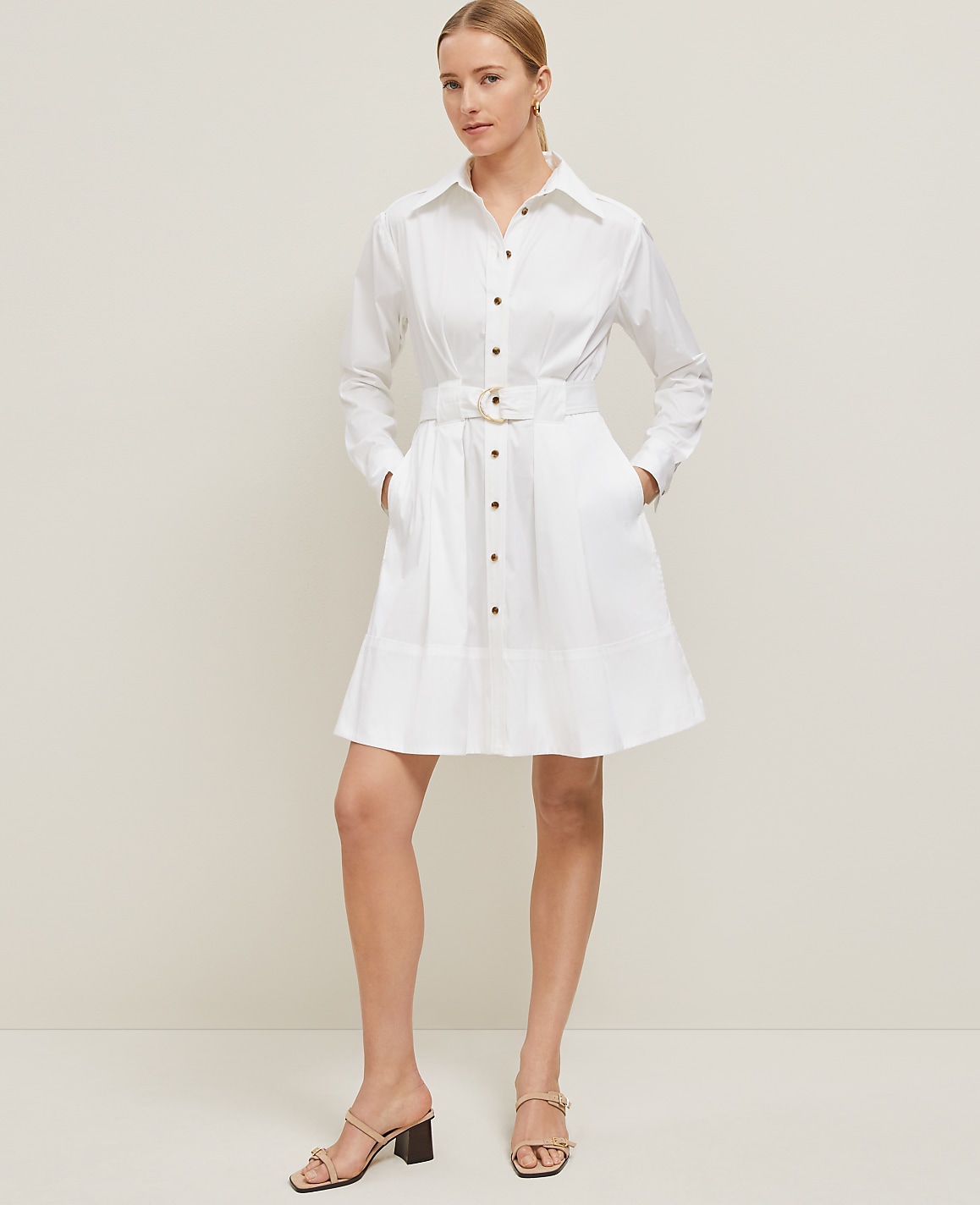 Petite Flare Pocket Shirtdress