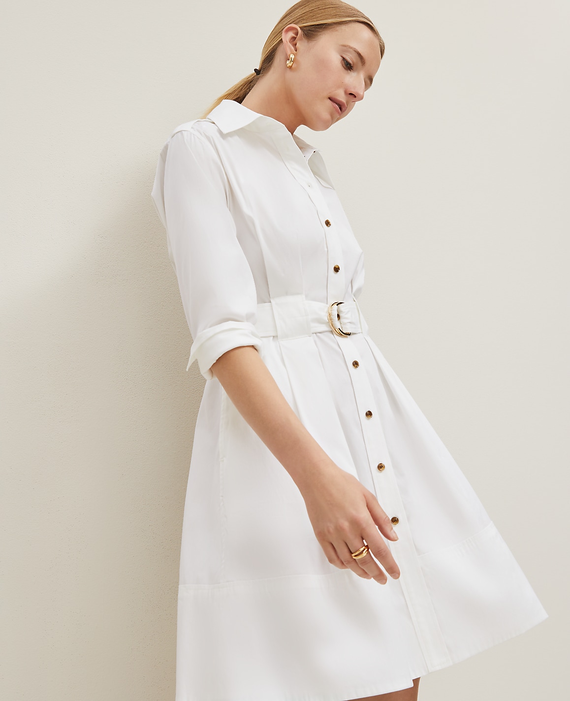 Petite Flare Pocket Shirtdress