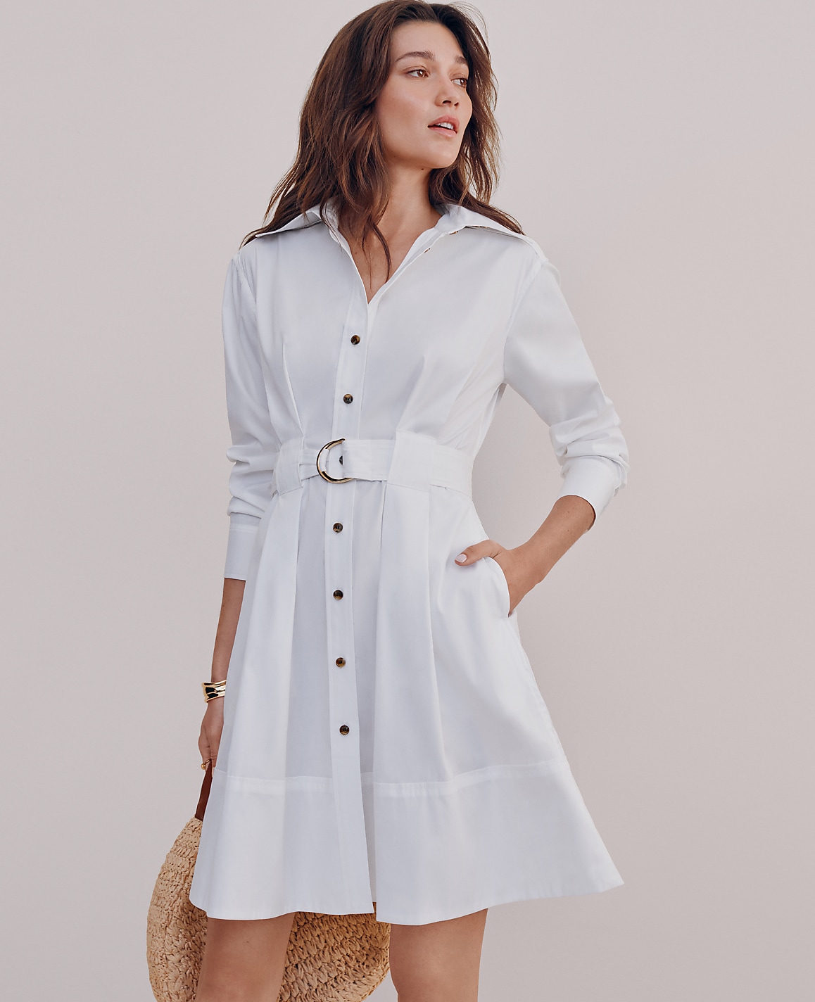 Petite Flare Pocket Shirtdress