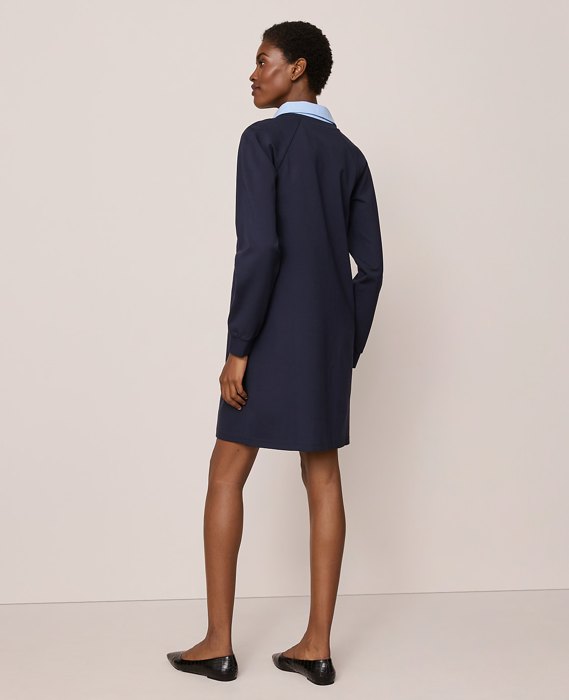 Petite Collared Ponte Shift Dress