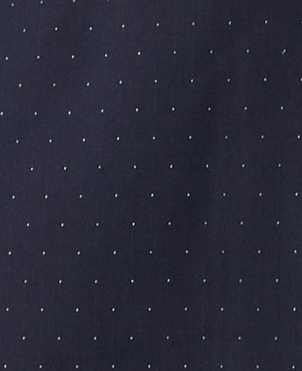 The Dotted Long Blazer