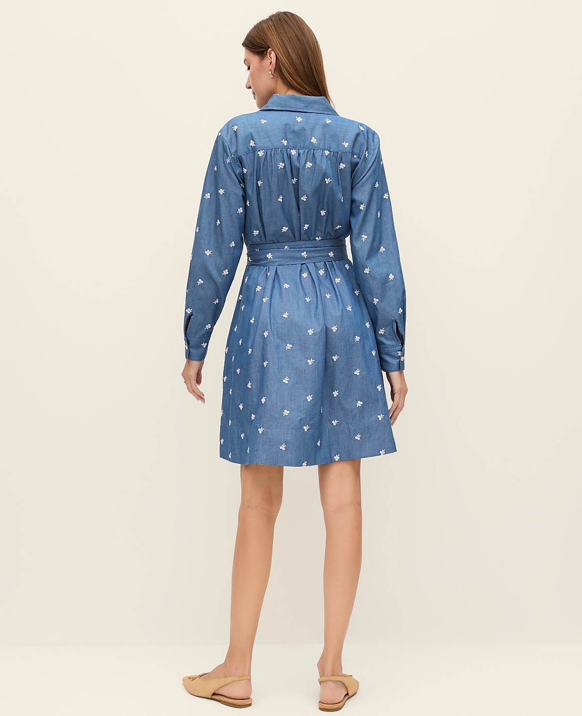 Petite Weekend Embroidered Belted Dress