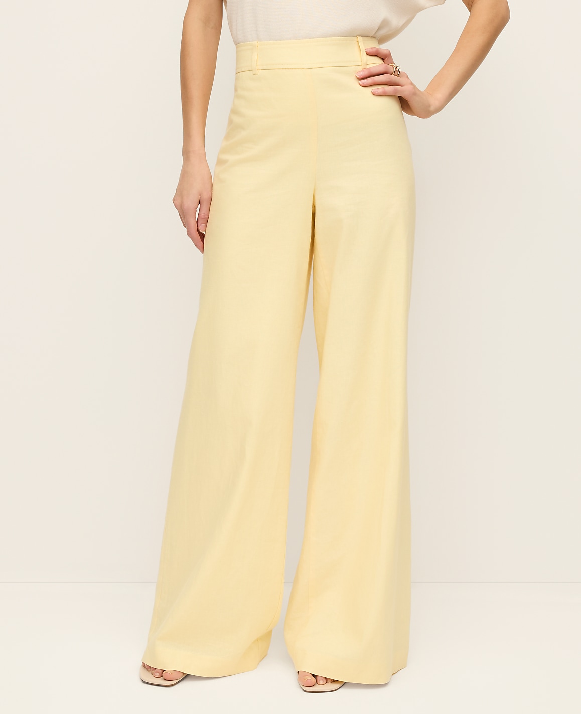 The Statement Palazzo Pant in Linen Blend