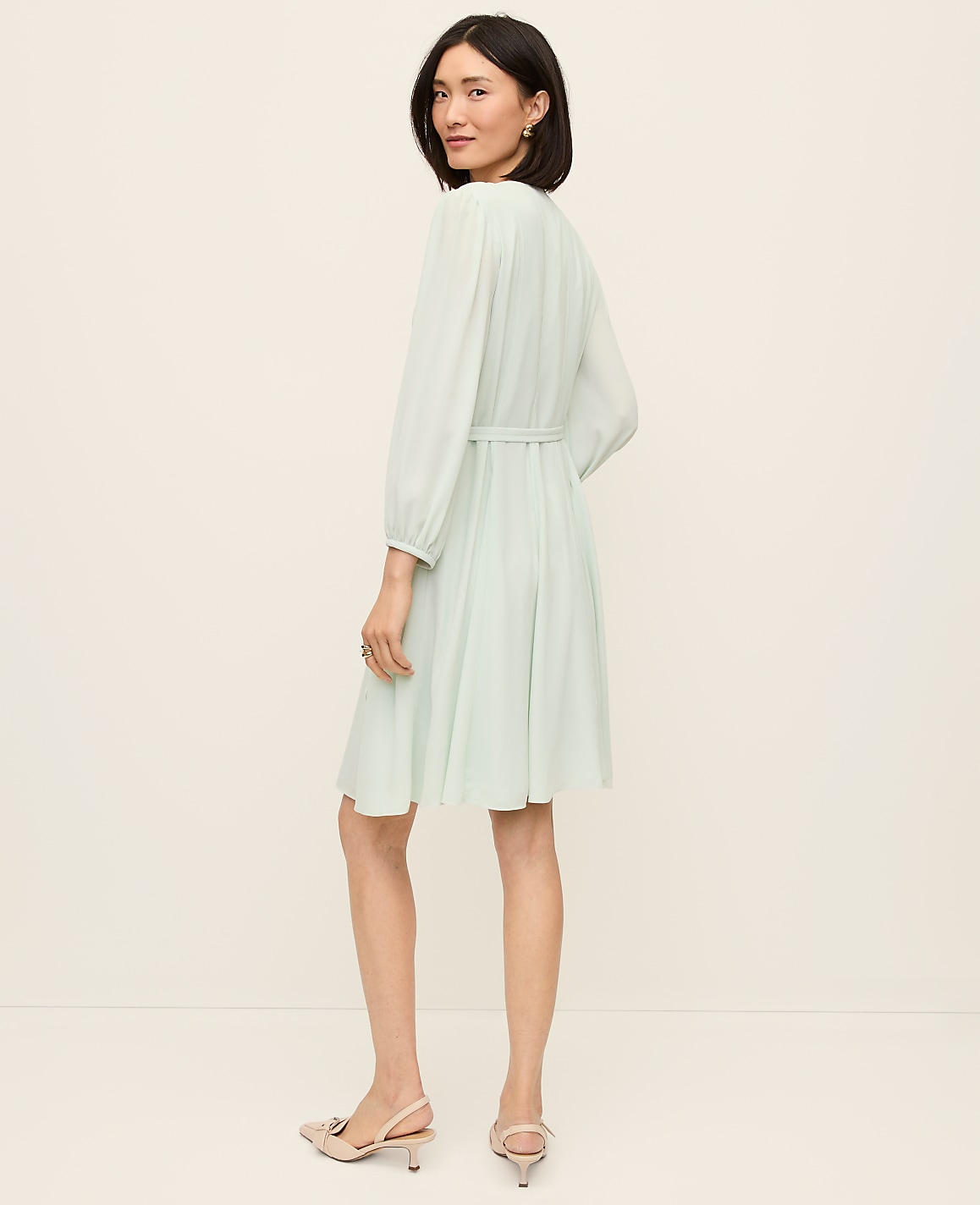 Belted Flare Dress