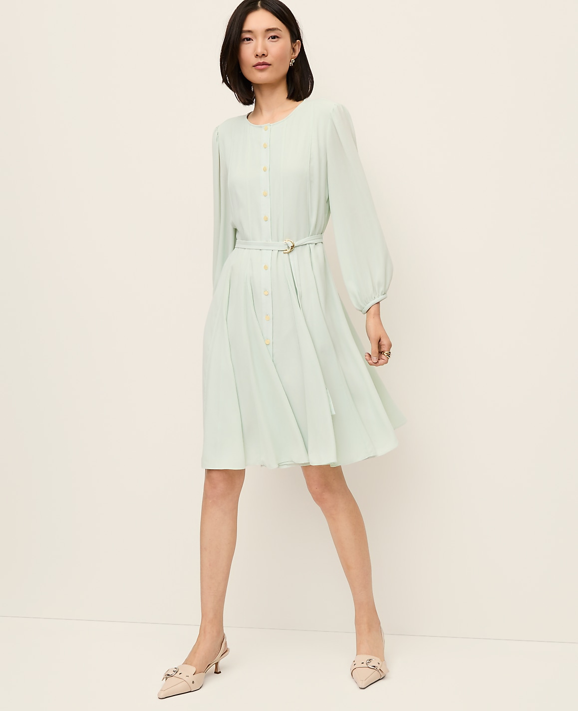Belted Flare Dress