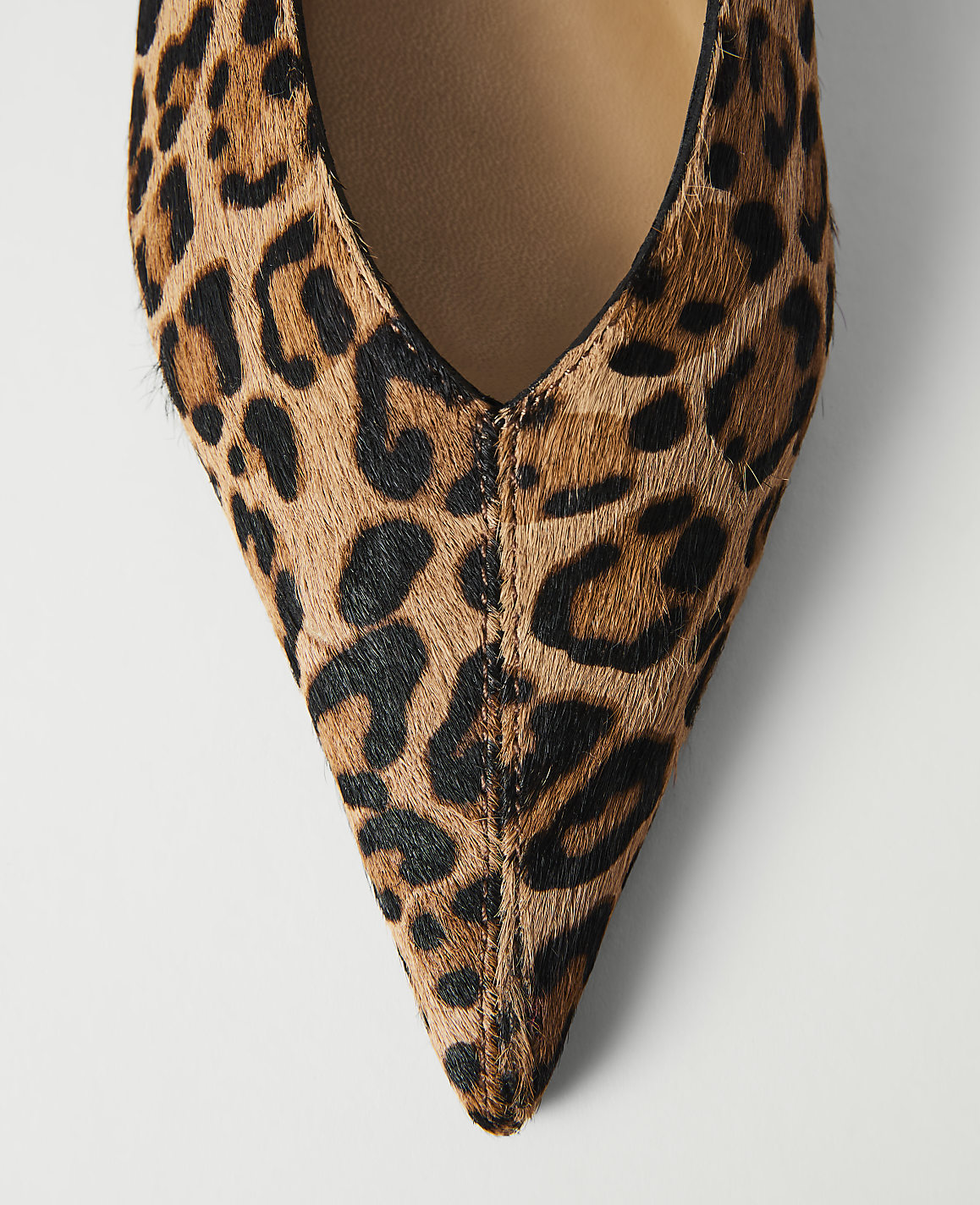 A close-up of a pointed-toe leopard print shoe with a white background.