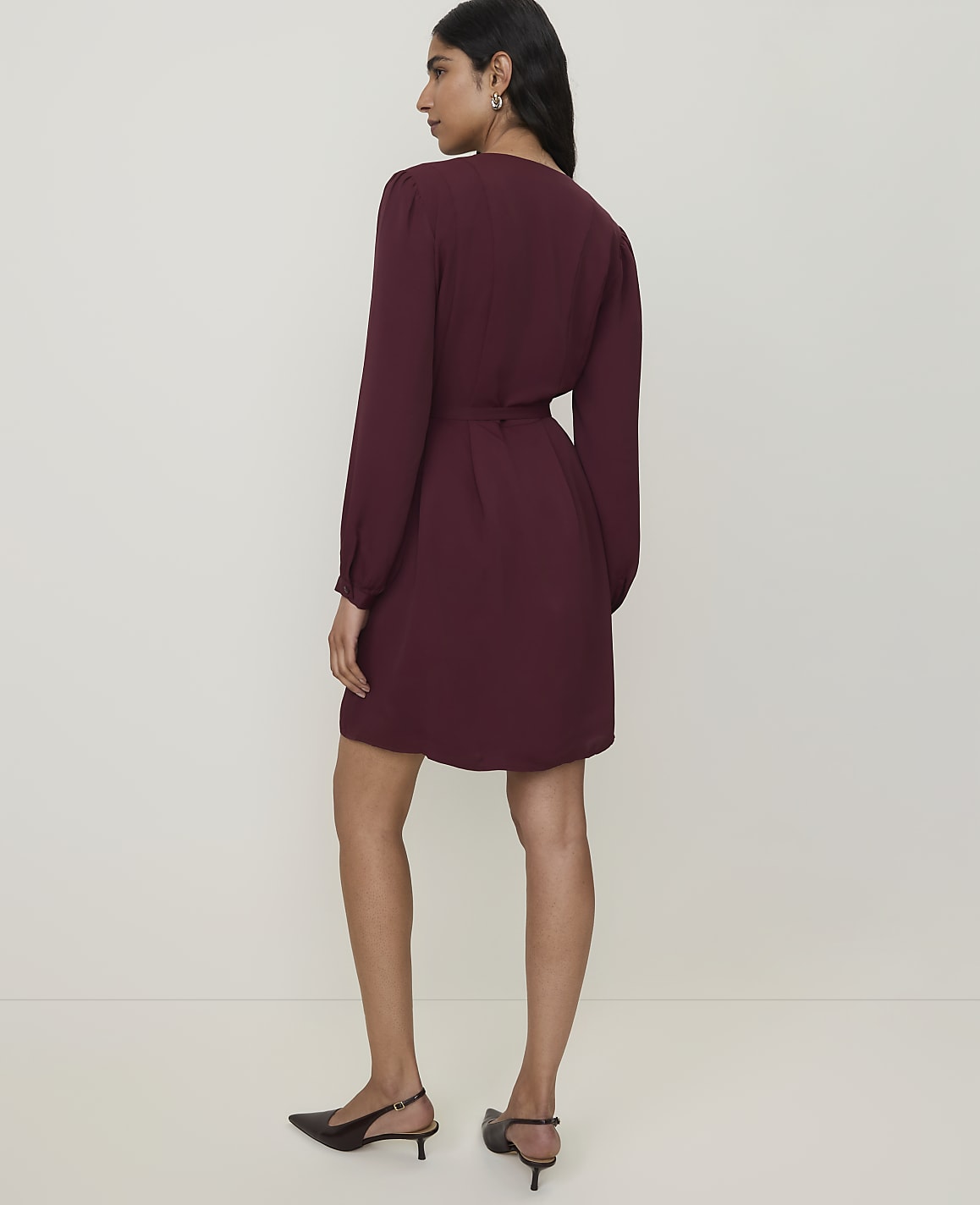 Petite Belted V-Neck Flare Dress