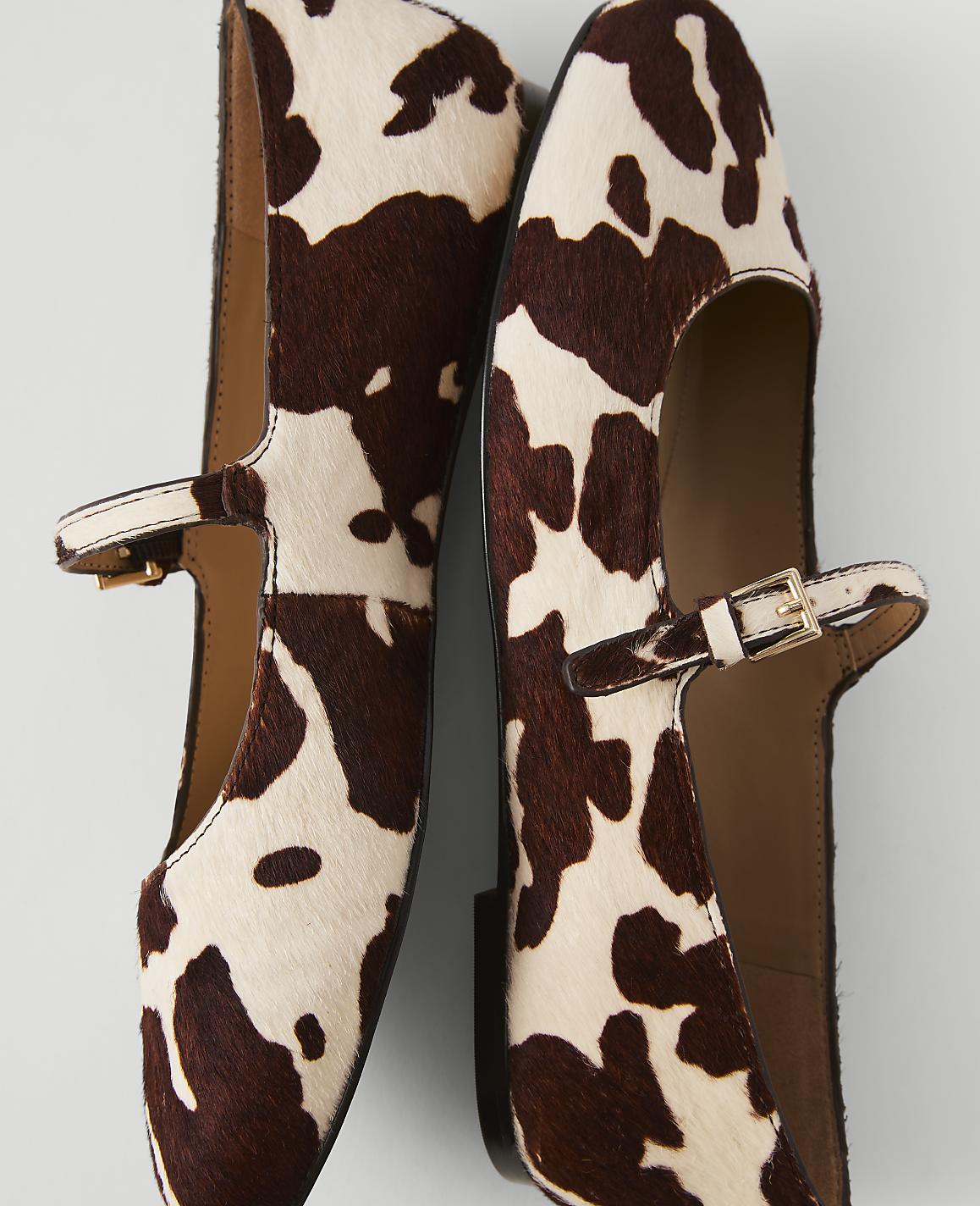 A pair of cow-print Mary Jane flats with gold buckles rests on a plain white background.
