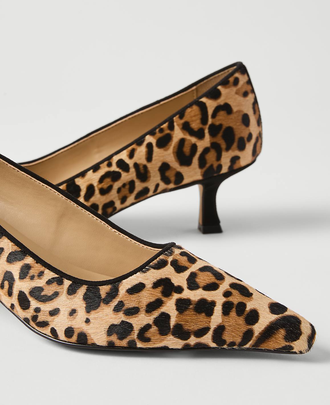 A pair of leopard-print kitten heels with black trim are in the foreground, set against a plain white background.