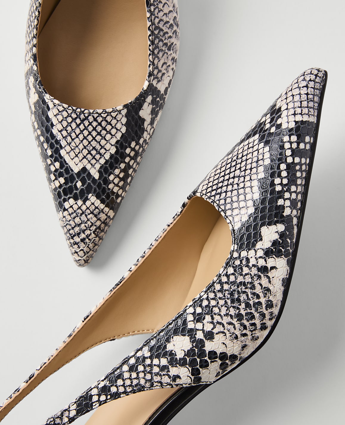 Two pointed-toe snakeskin heels with a light gray background.
