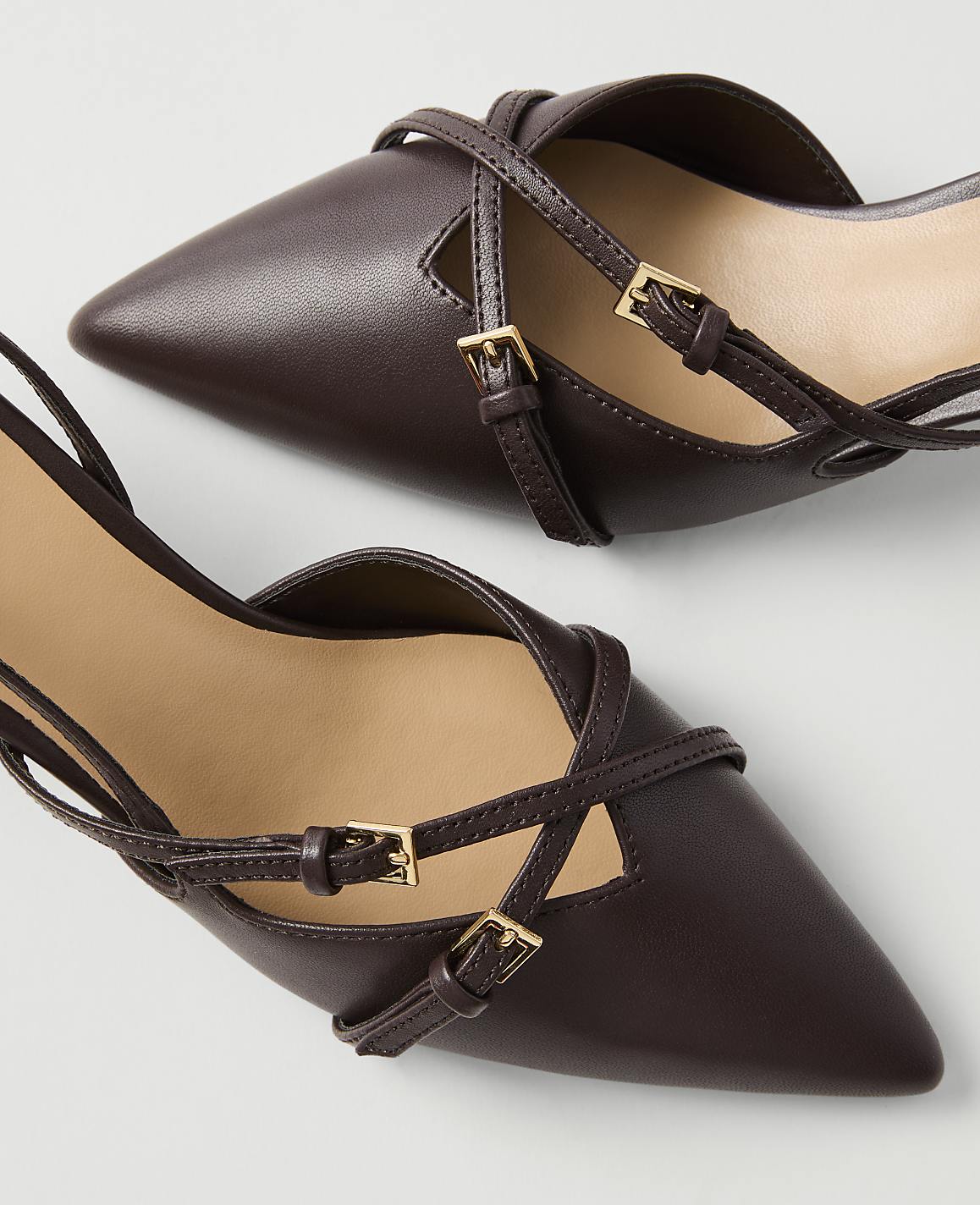A pair of dark brown pointed-toe slingback heels with delicate straps and gold buckles are displayed against a plain white background.