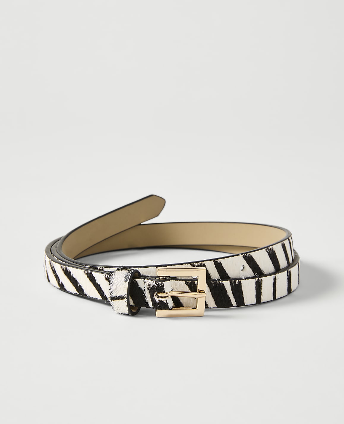 A thin, zebra-print belt with a gold buckle lies coiled on a plain white background.