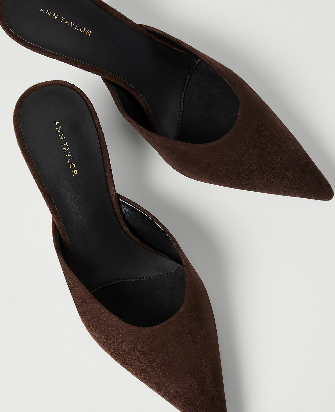 Two brown pointed-toe mules with "ANN TAYLOR" printed on the insoles are positioned against a plain white background.