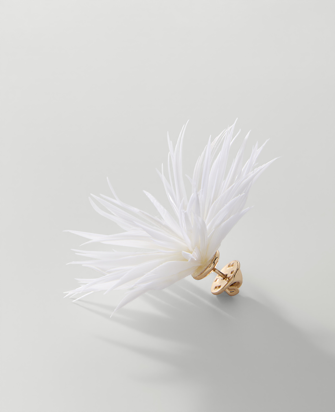 A white feathered earring with a gold-tone stud sits against a plain, light gray background.