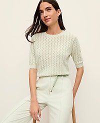 Pointelle Sweater Tee carousel Product Image 1