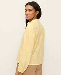 Embroidered Ruffle Collar Shirt carousel Product Image 2