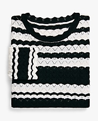 Striped Pointelle Sweater Tee carousel Product Image 4