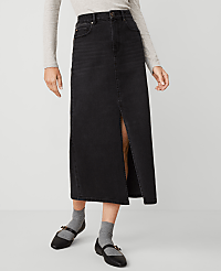 Denim Maxi Skirt carousel Product Image 2