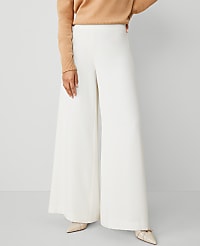 The Petite Dramatic Wide-Leg Crepe Pant carousel Product Image 3