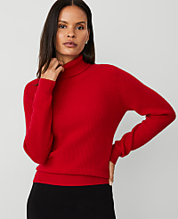 Cashmere Ribbed Turtleneck Sweater carousel Product Image 1