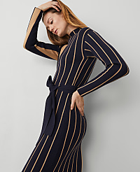 Petite Striped Sweater Dress carousel Product Image 4