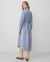 Petite Weekend Collection Striped Midi Shirtdress carousel Product Image 2