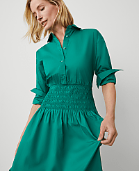 Flare Midi Shirtdress carousel Product Image 4