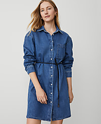 Denim Shirtdress carousel Product Image 5