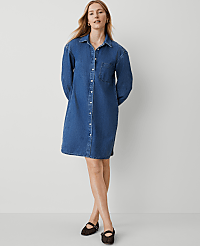 Denim Shirtdress carousel Product Image 2