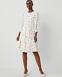 Floral Seamed Flare Dress carousel Product Image 1