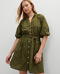 Eyelet Ruffle Neck Flare Dress carousel Product Image 1