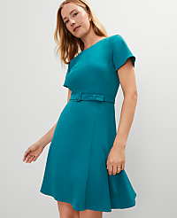 Crew Neck Belted Flare Dress carousel Product Image 1