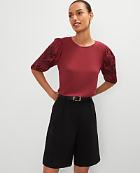 Embroidered Puff Sleeve Top carousel Product Image 1