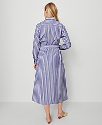 Striped Collared Midi Shirtdress carousel Product Image 2