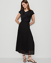 Chiffon Pleated Maxi Skirt carousel Product Image 1
