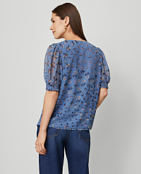 Floral V-Neck Popover carousel Product Image 2
