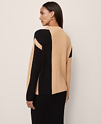 Colorblock Ribbed Mock Neck Sweater carousel Product Image 3