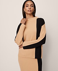 Colorblock Ribbed Mock Neck Sweater carousel Product Image 2