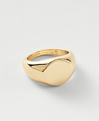 Metal Signet Ring carousel Product Image 1