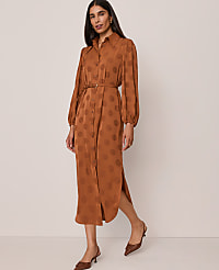 Belted Midi Shirtdress carousel Product Image 3
