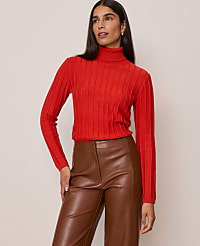 Ribbed Turtleneck Sweater carousel Product Image 1