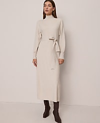 Petite Weekend Ribbed Turtleneck Sweater Dress carousel Product Image 2