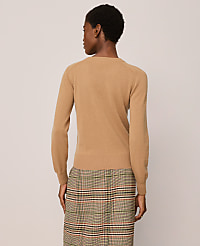 Cashmere Crew Neck Sweater carousel Product Image 2